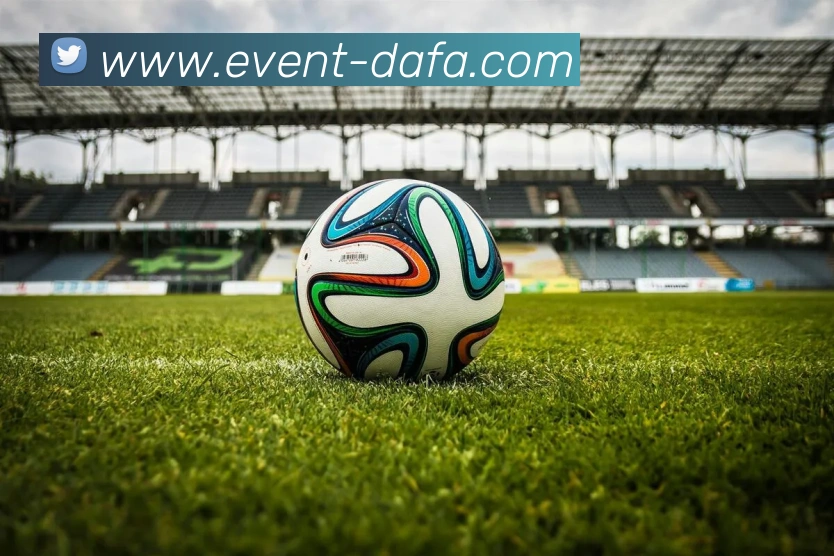 大发彩票平台生态图